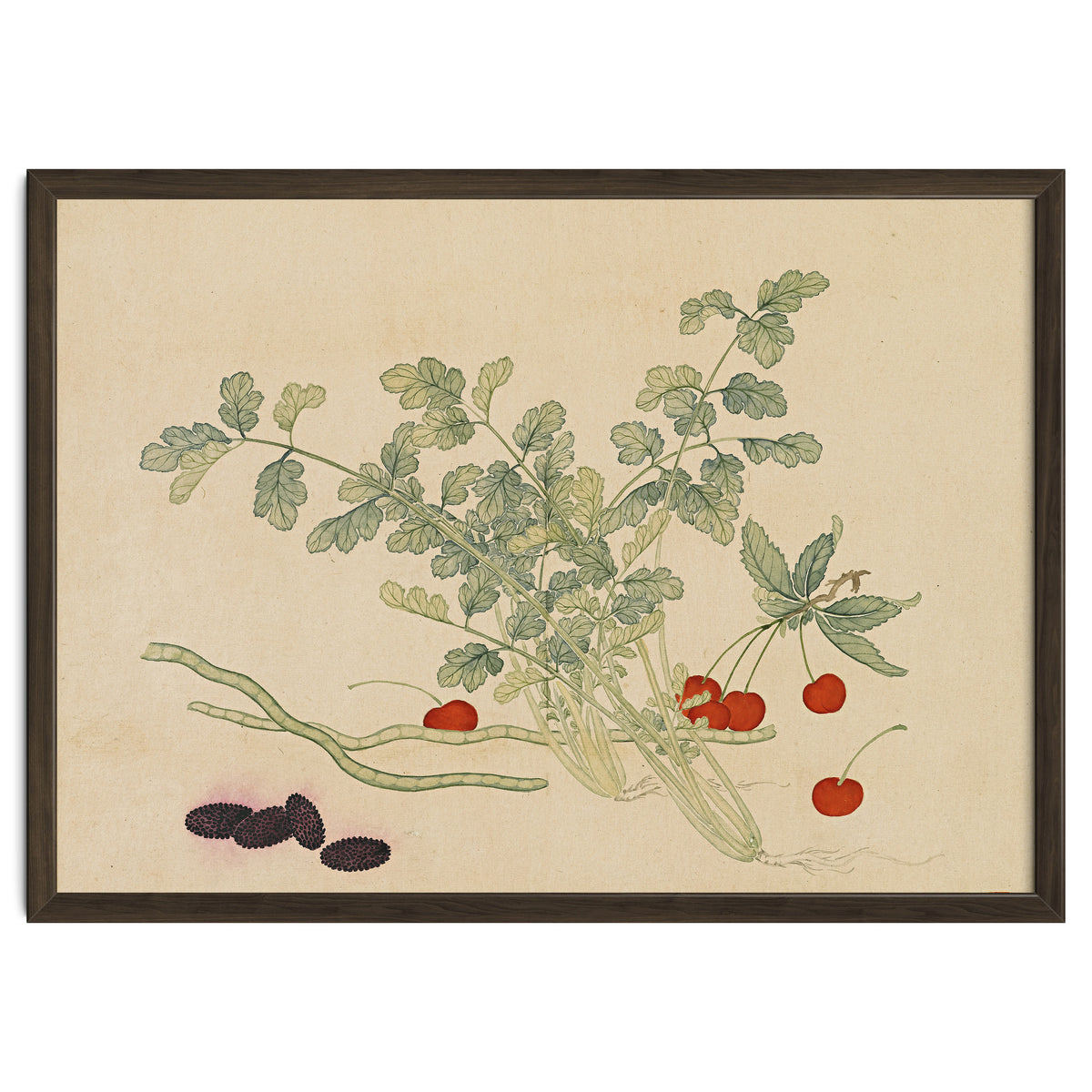 Wang Chengyu~flowers And Vegetables, Vegetables, Fruits, Beans, Red Beans, Cherries, Celery