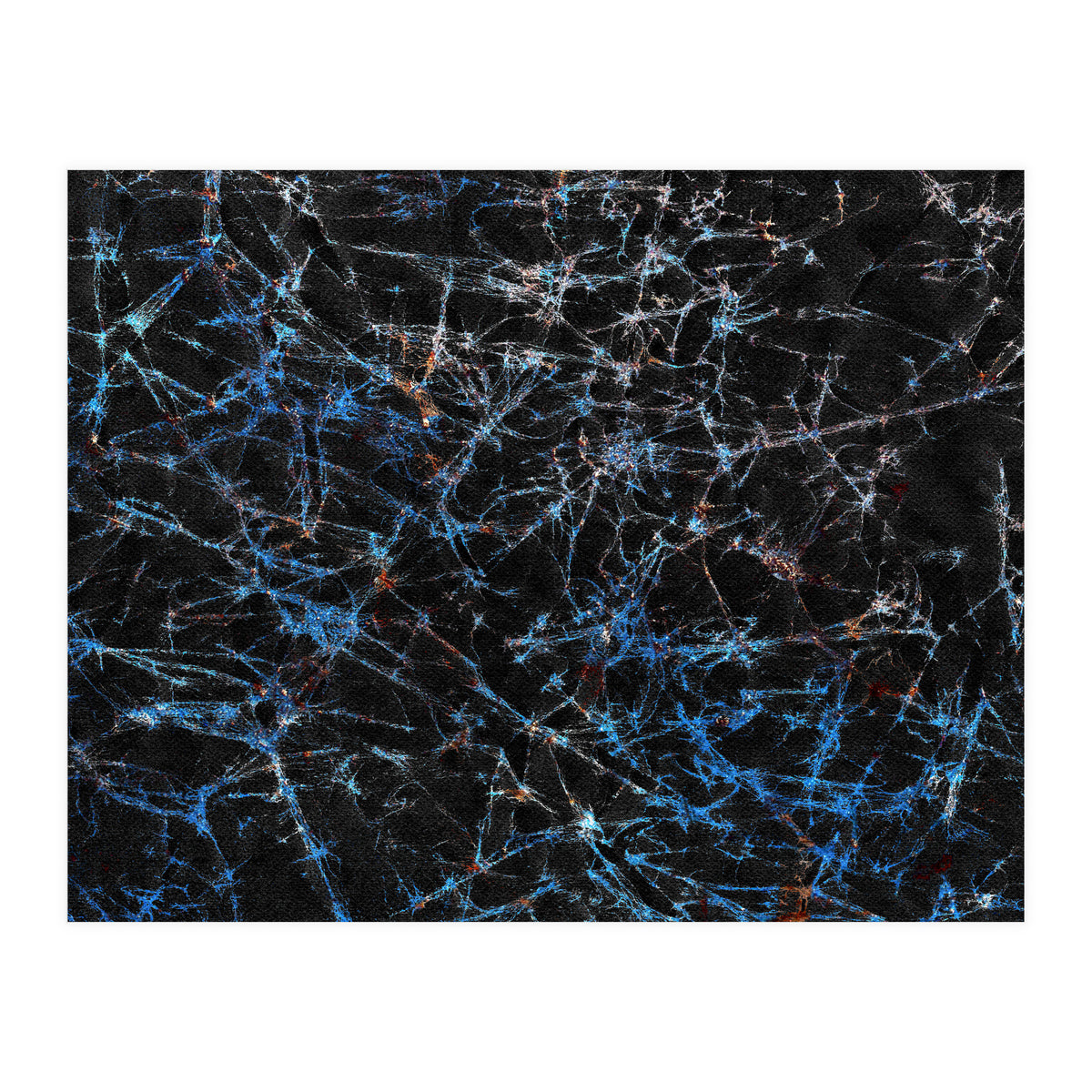 Blue Web  (Print Only)