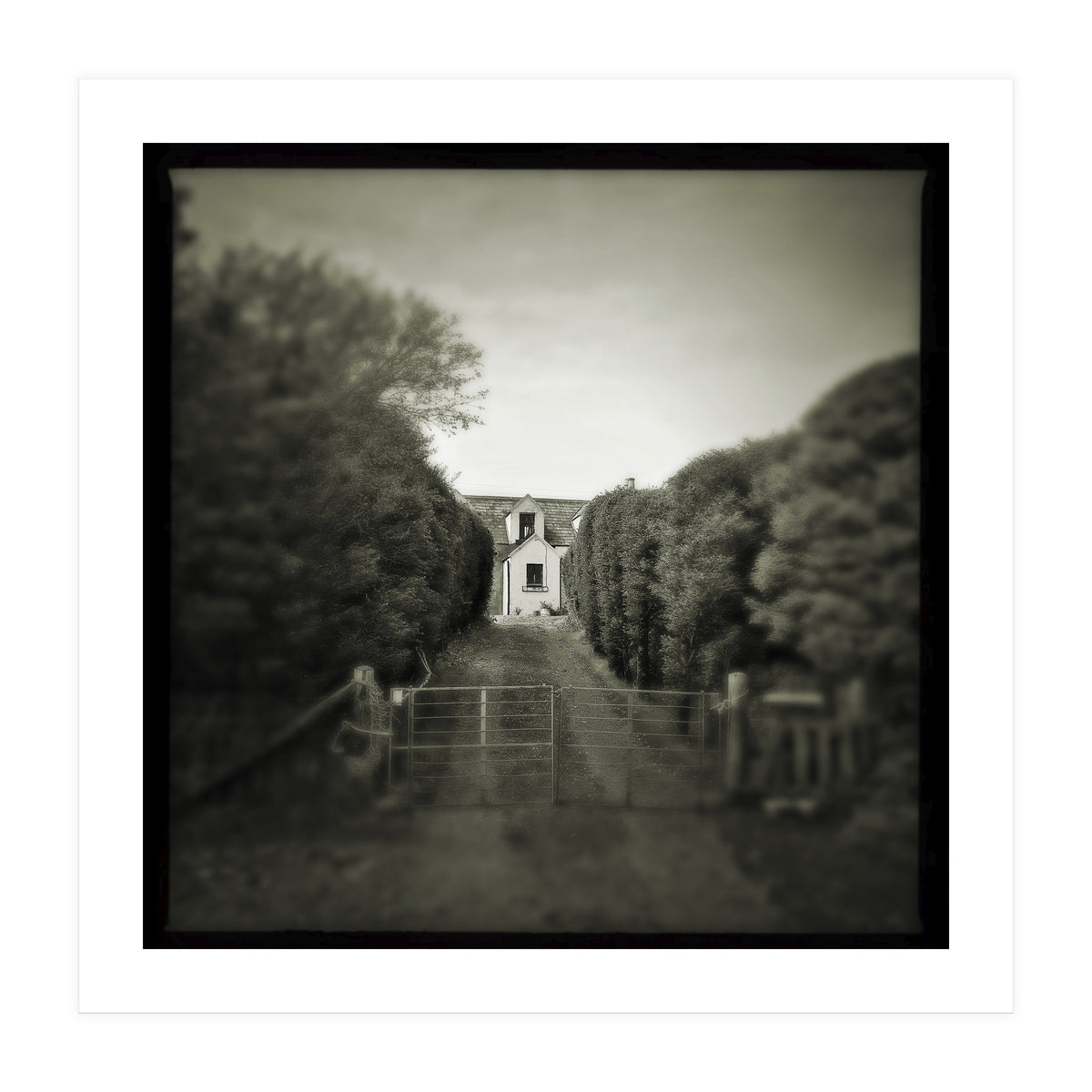 Waterstein 3 (Print Only)