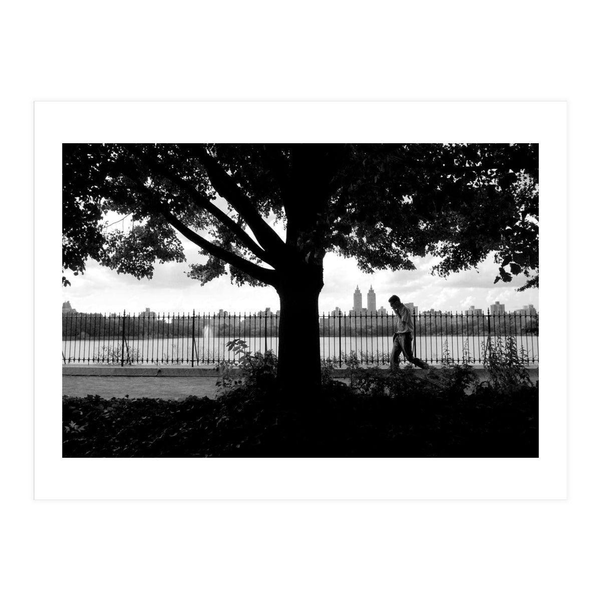 Central Park, New York City (Print Only)