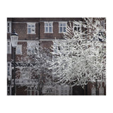 Chelsea Spring  (Print Only) thumbnail