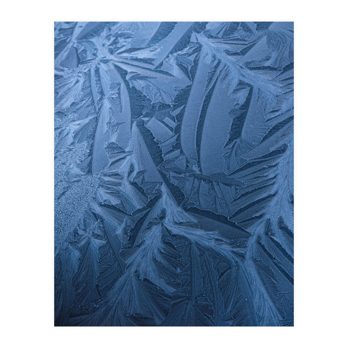 Ice Pattern Number 2 (Print Only)