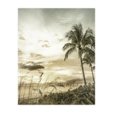 BONITA BEACH Bright Sunset | Vintage (Print Only) thumbnail