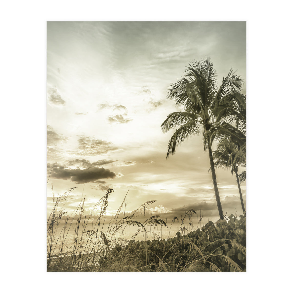 BONITA BEACH Bright Sunset | Vintage (Print Only)