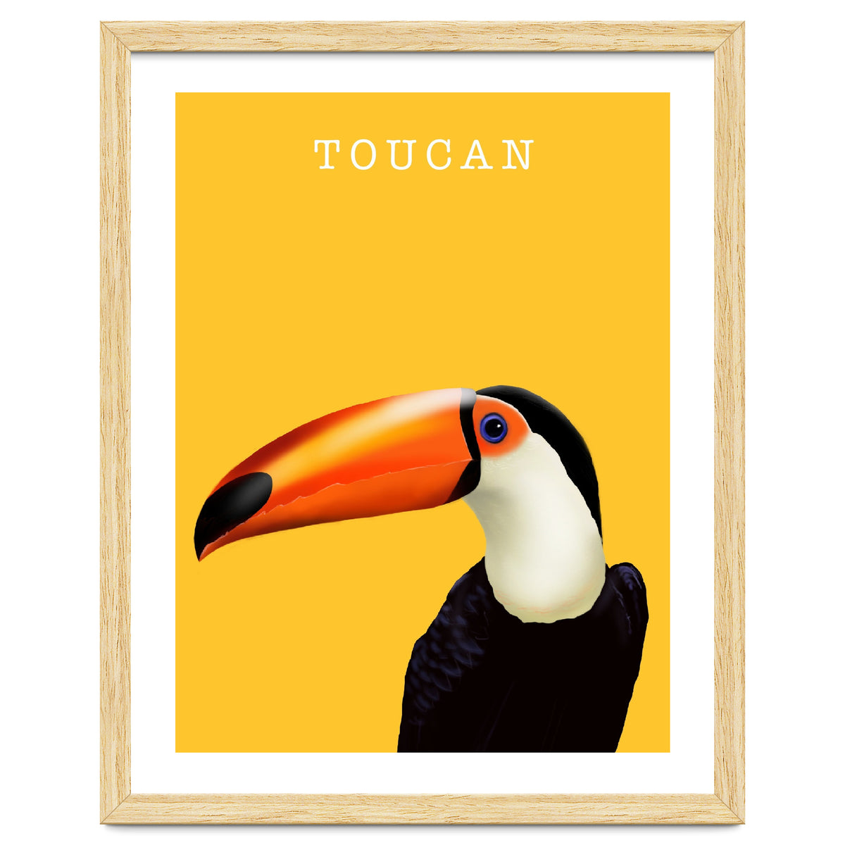 Toucan