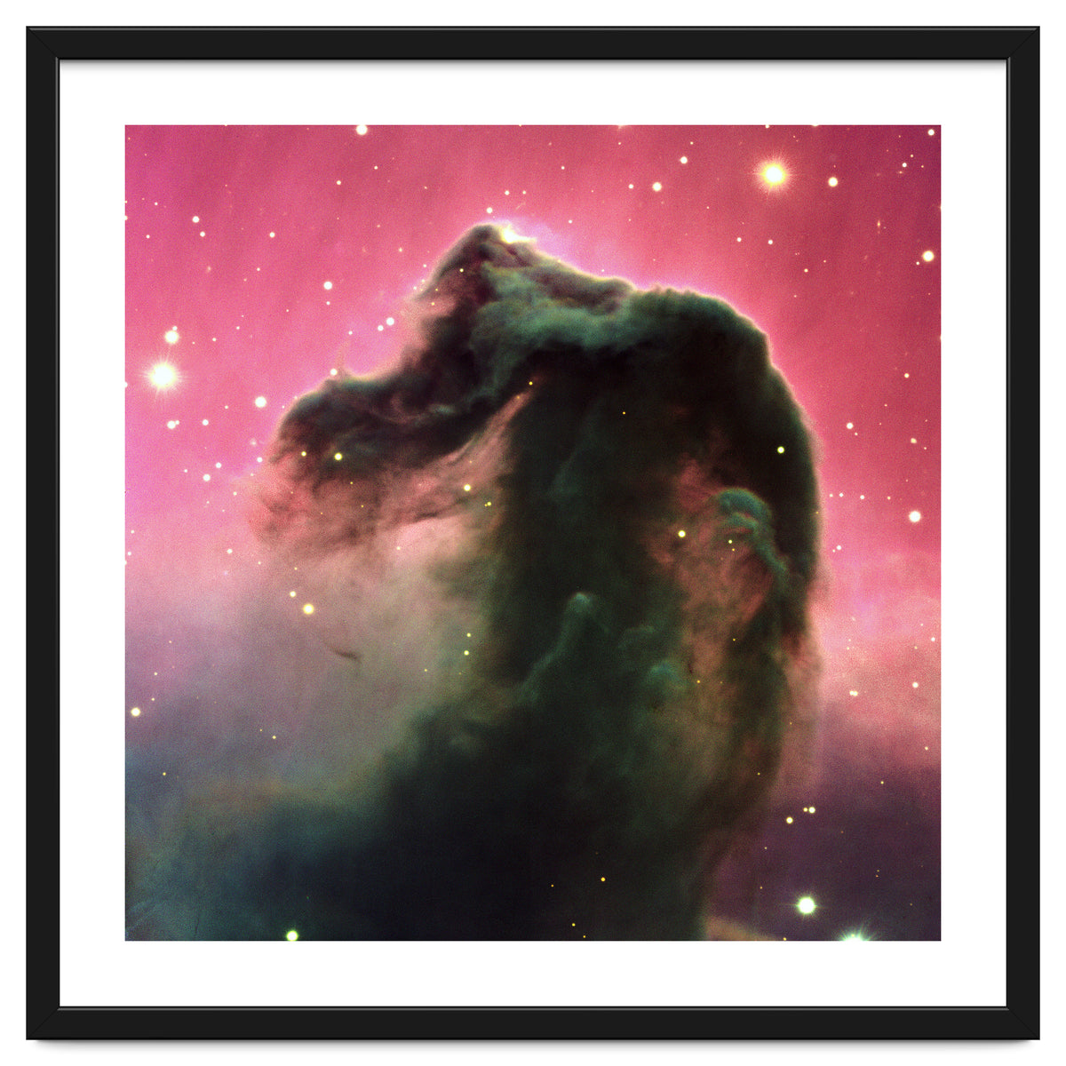 The Horsehead Nebula