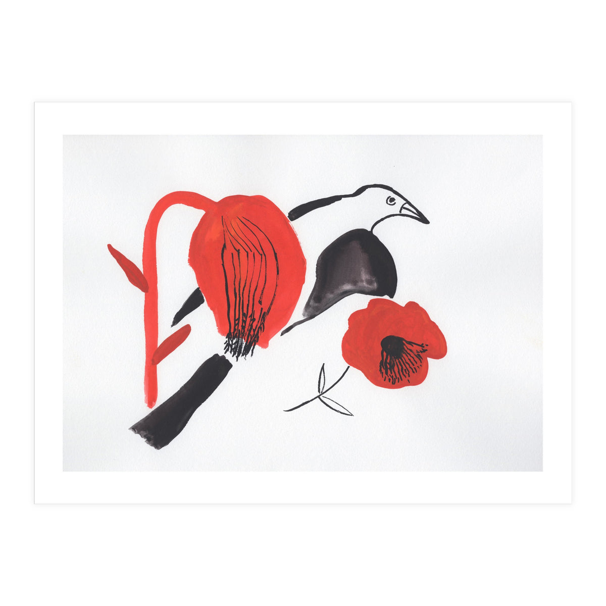 Black Bird And Poppies (Print Only)