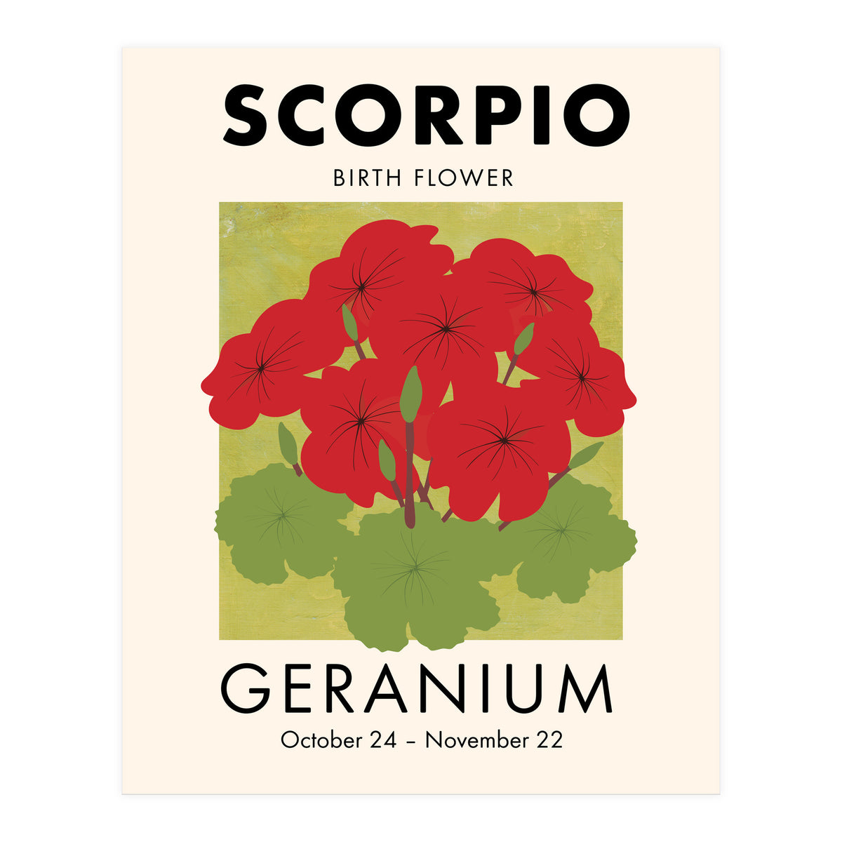 Scorpio Birth Flower Geranium (Print Only)
