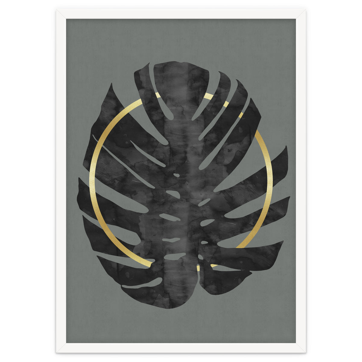 Monstera Deliciosa I