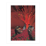 Red King Crab (Print Only) thumbnail