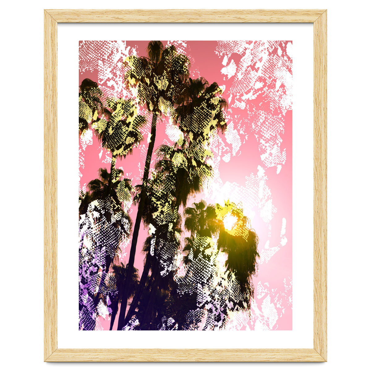 Snake sunset in paradise