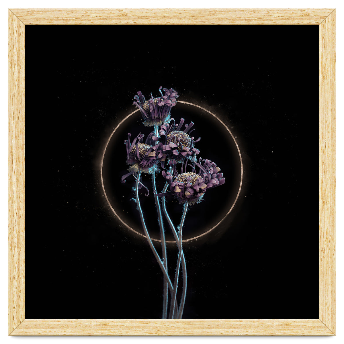 Candy-Coloured Mystery