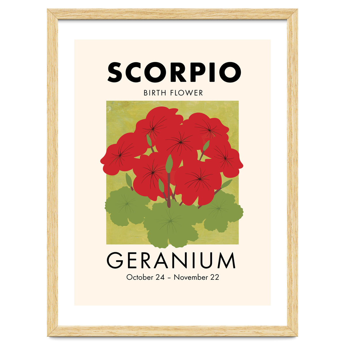 Scorpio Birth Flower Geranium