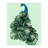 Monstera Bird (Print Only) thumbnail