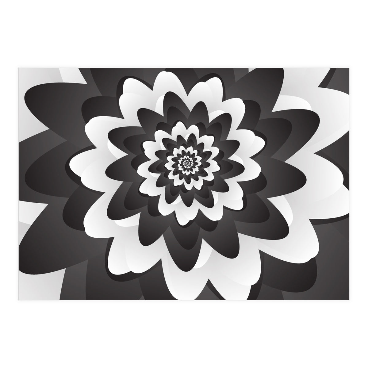 Mono Chrome Flower Spiral Pattern (Print Only)