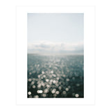 Pamlico Sparkle #1  (Print Only) thumbnail
