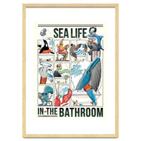 Sea Life in the Bathroom