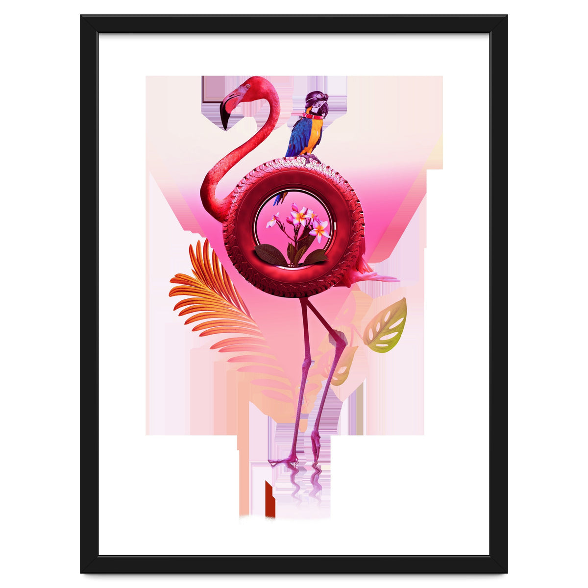 Flamingo