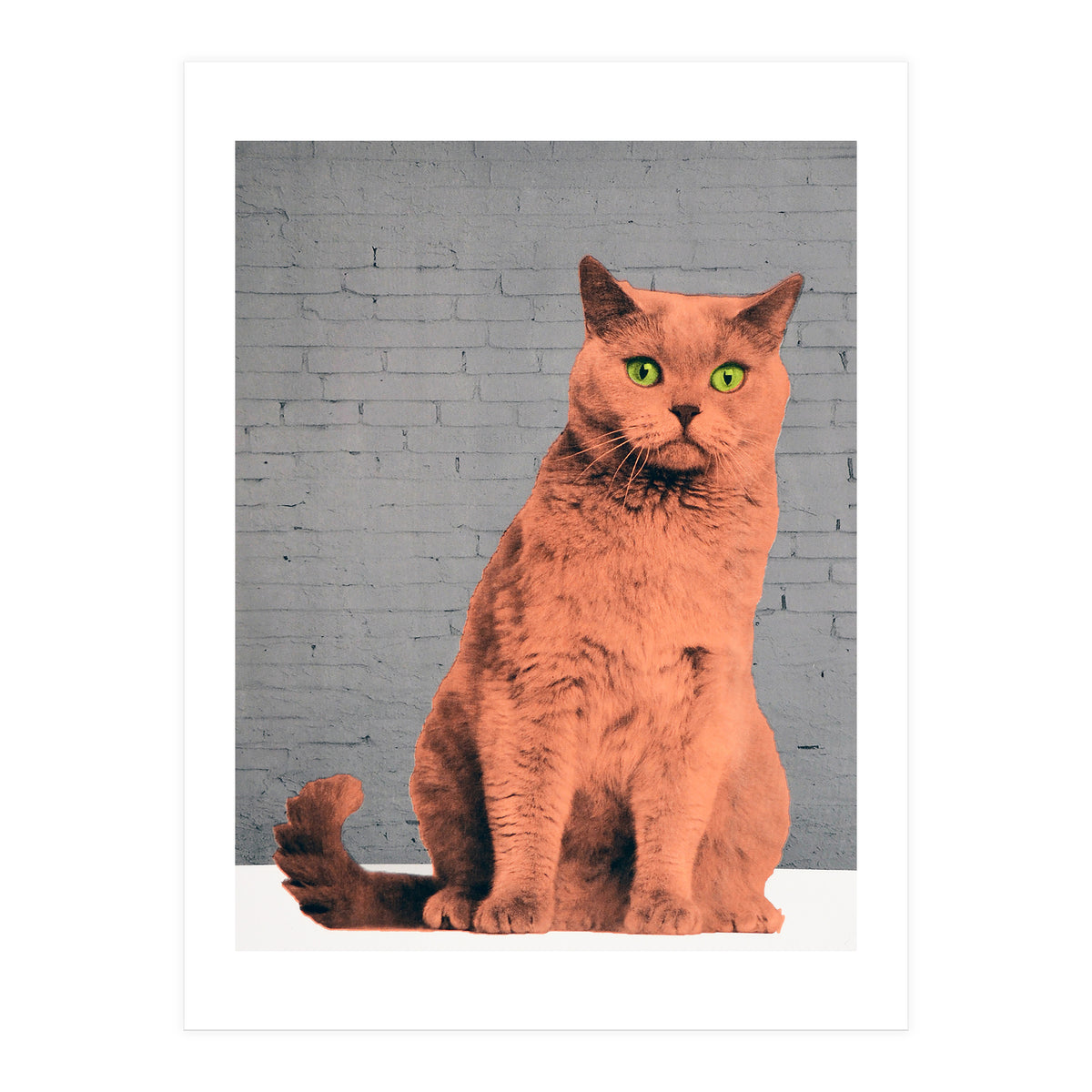 Everybody Wants To Be A Cat  (Print Only)