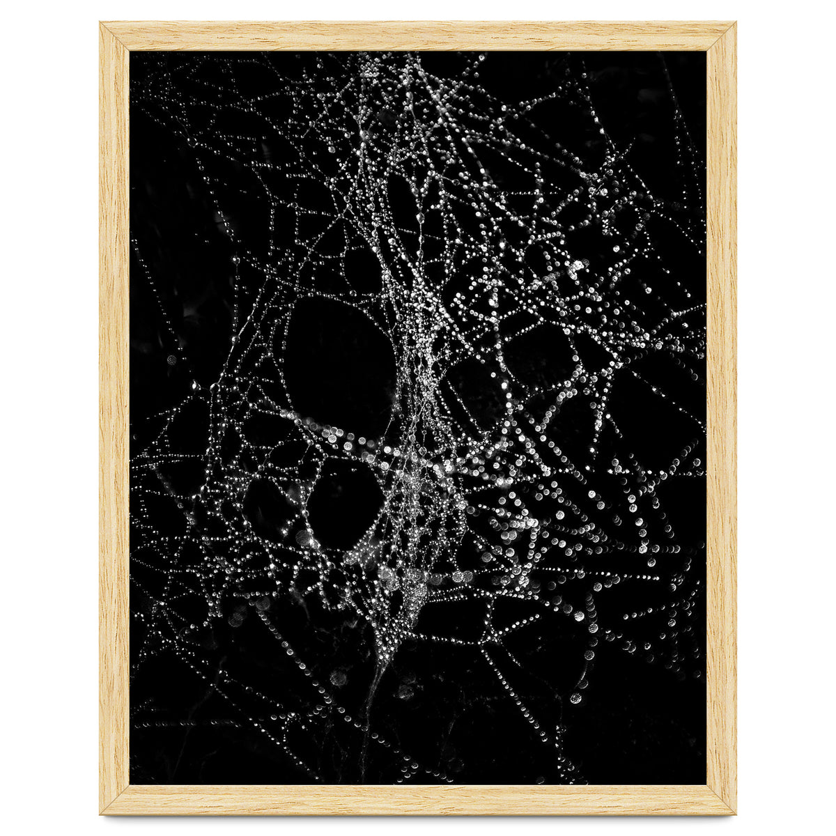 Spiderweb No 4