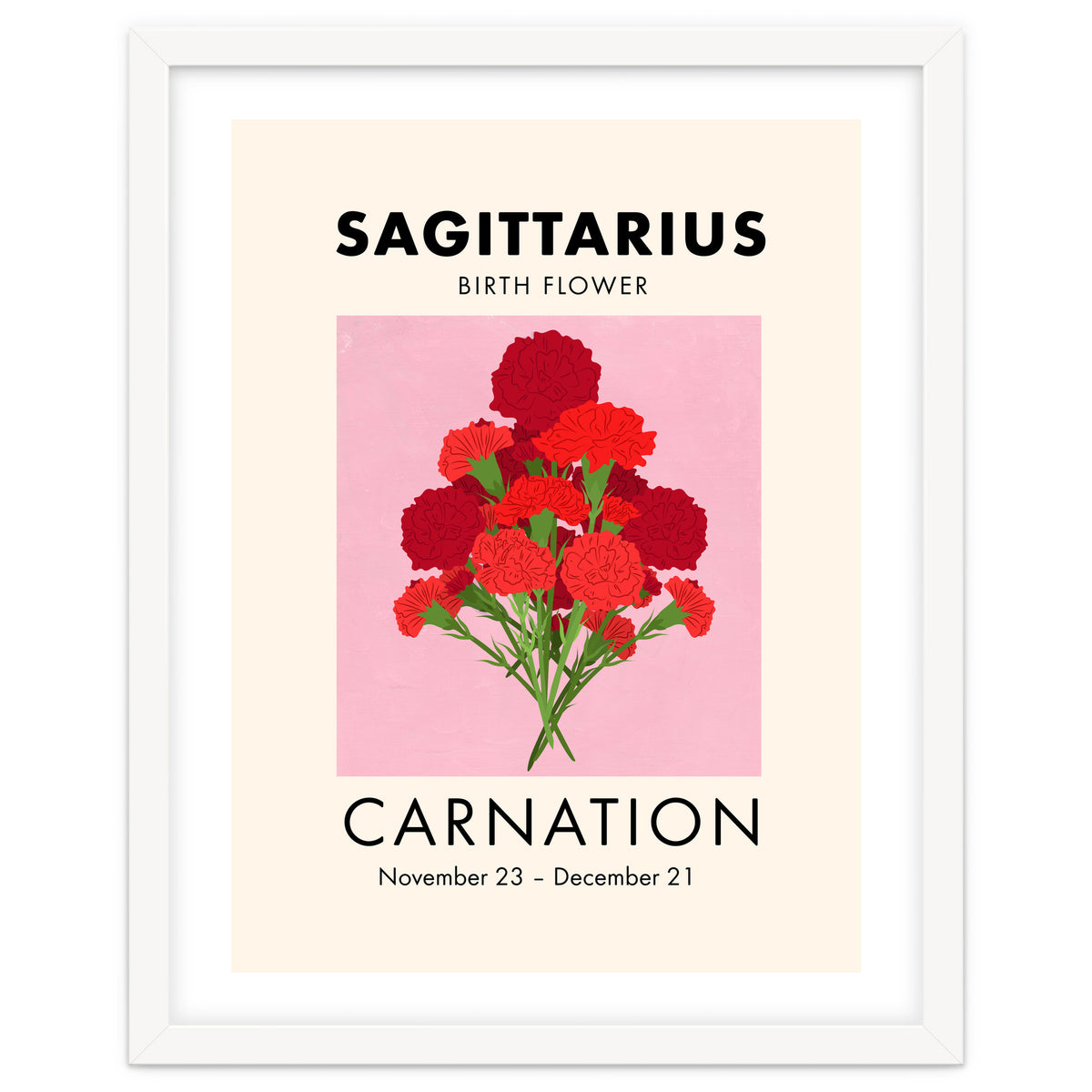 Sagittarius Birth Flower Carnation