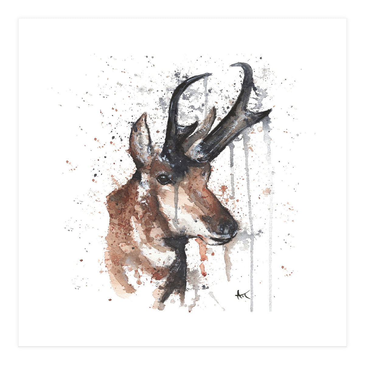 Red deer - Wildlife Collection (Print Only)
