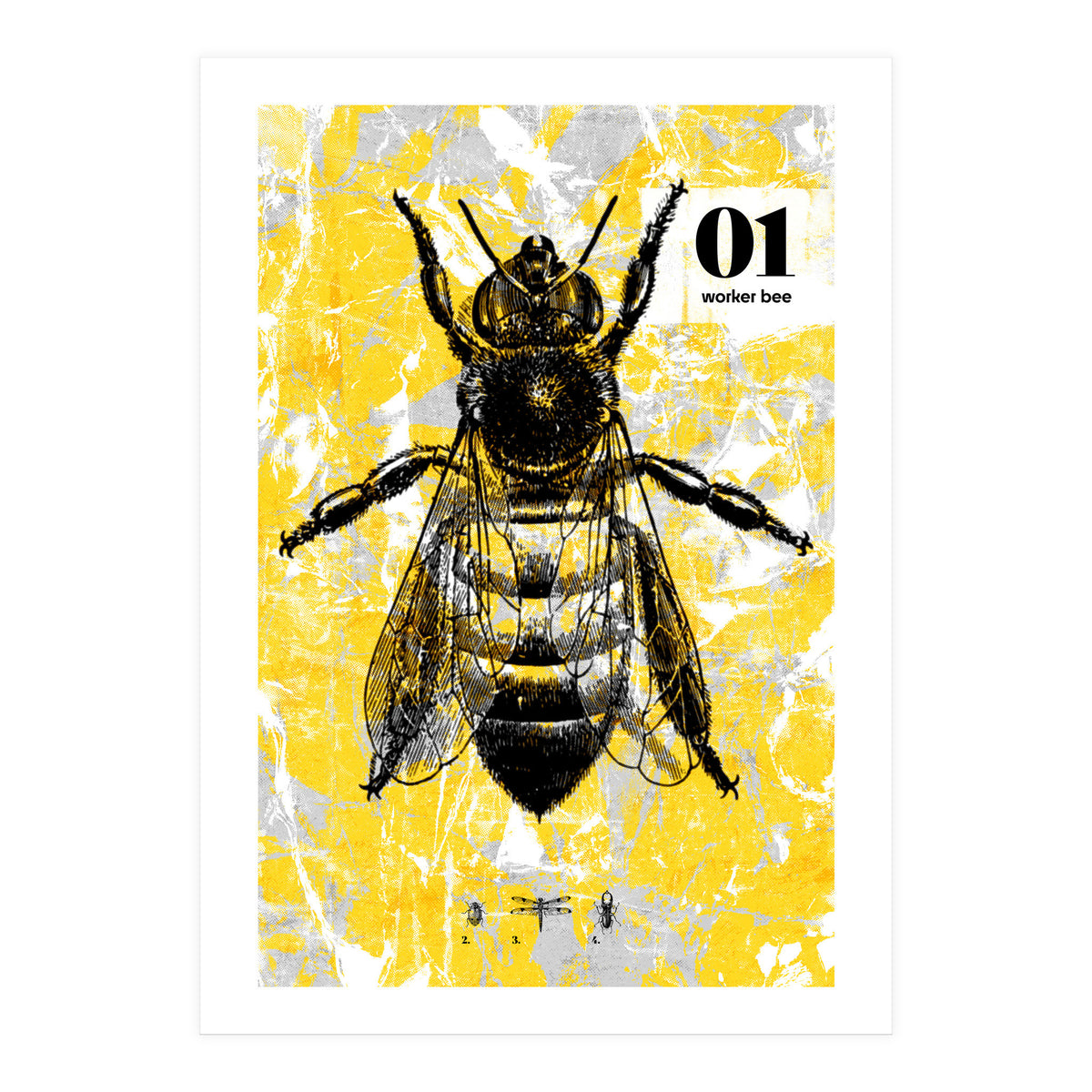 Bugs 1  (Print Only)