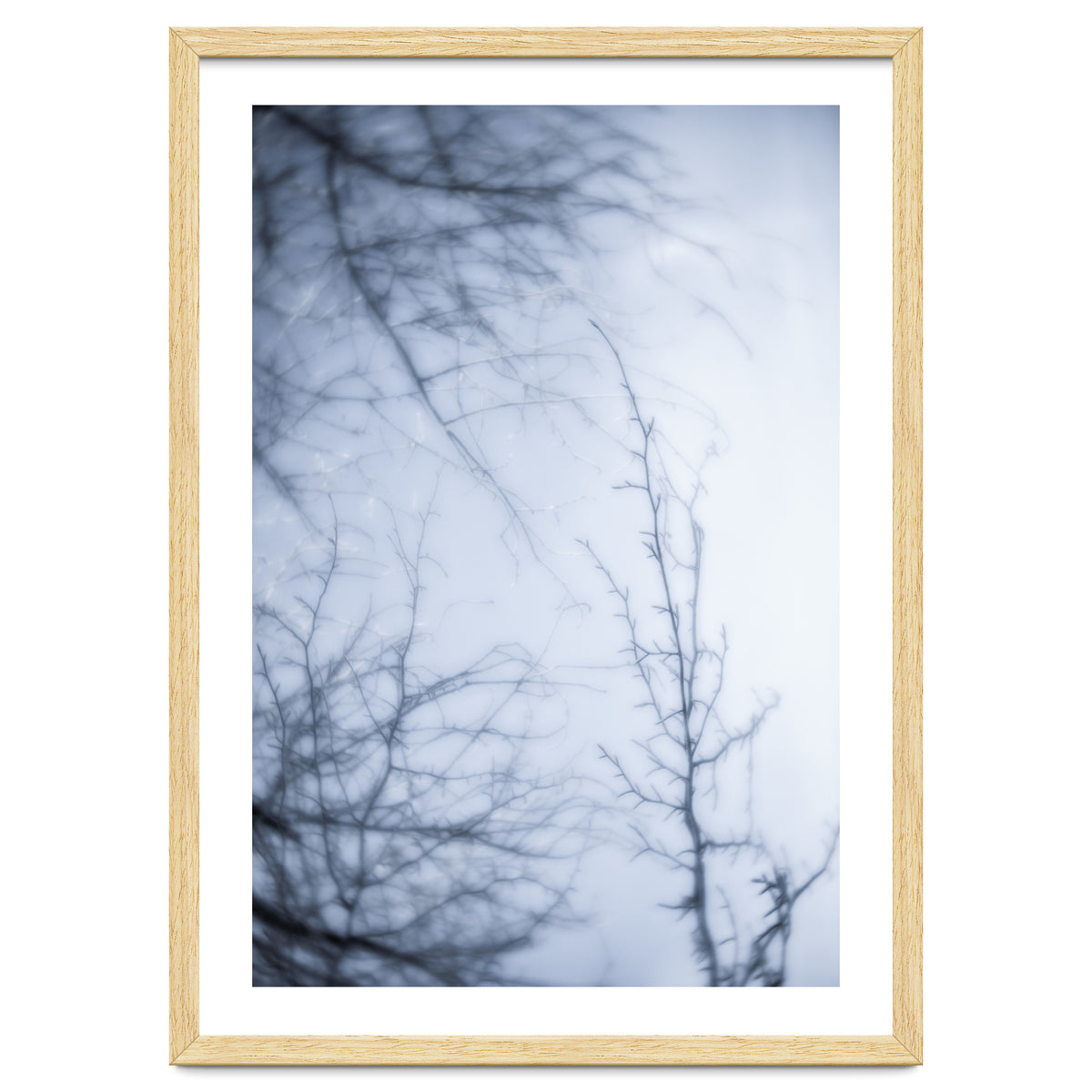 Forgotten Memories of Summer #21