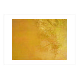 Colored Rustic Fabric 1 (Print Only) thumbnail