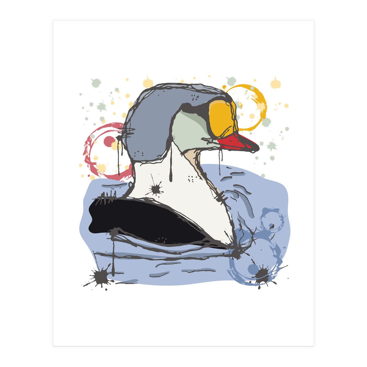 Male King Eider Duck Sketch (Print Only)