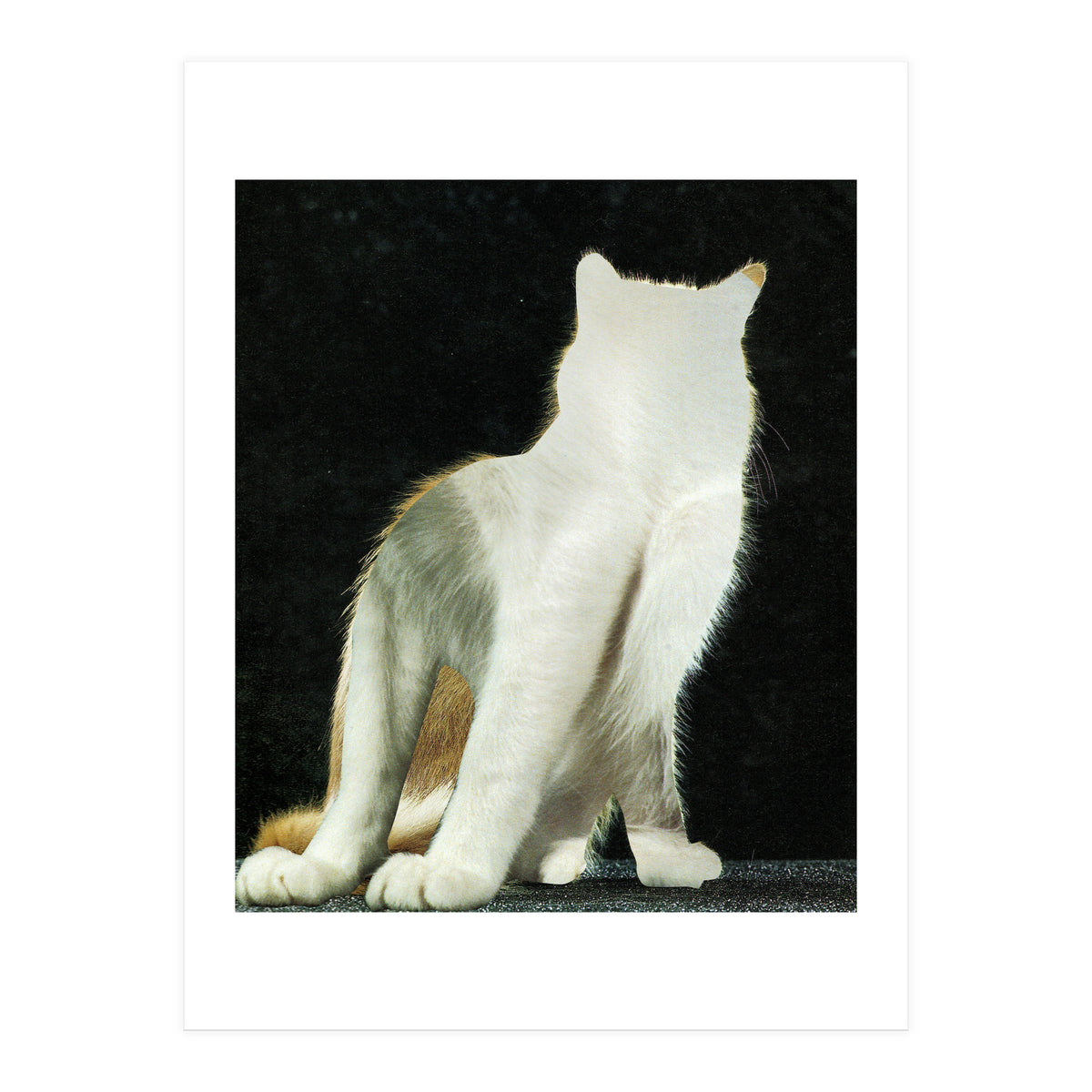 KatzenJammer 11 (Print Only)