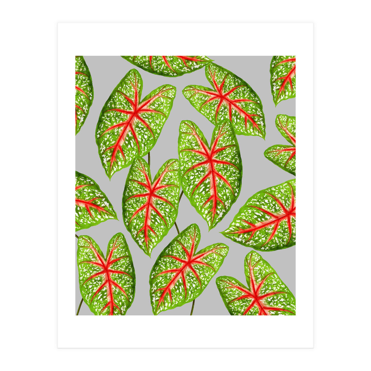 Expression Of Peace (Print Only)