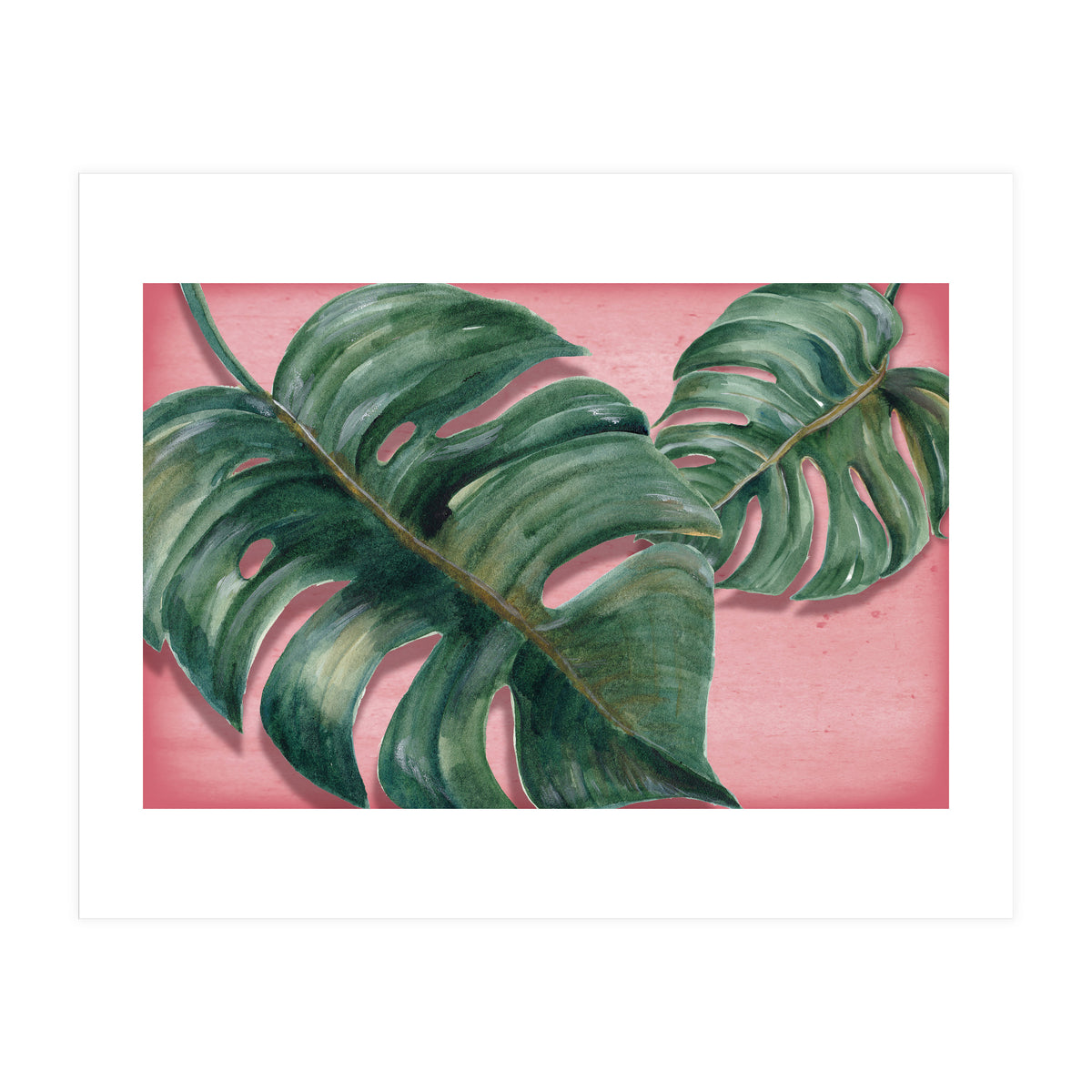 Monstera Leaf (Print Only)