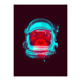 Astronaut (Print Only) thumbnail
