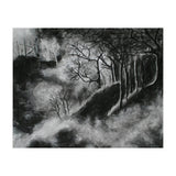Black and White Forest in Clouds (Print Only) thumbnail