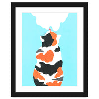 Tri Colored Calico Cat