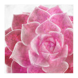 Rough Beauty 4 (Print Only) thumbnail
