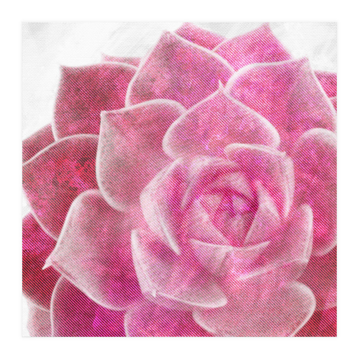 Rough Beauty 4 (Print Only)