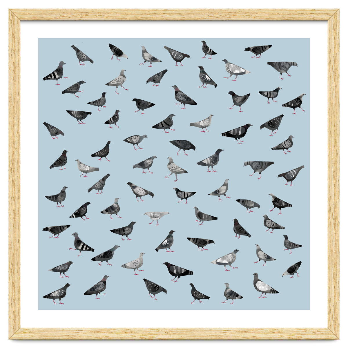 Pigeons Doing Pigeon Things