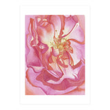 Love Is A Rose (Print Only) thumbnail