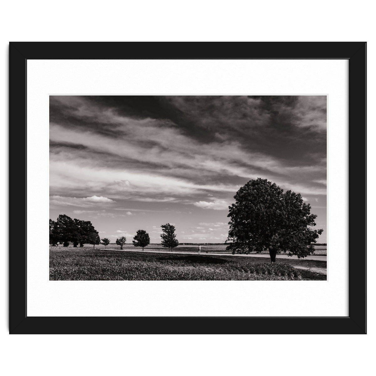 Country Road, Illinois