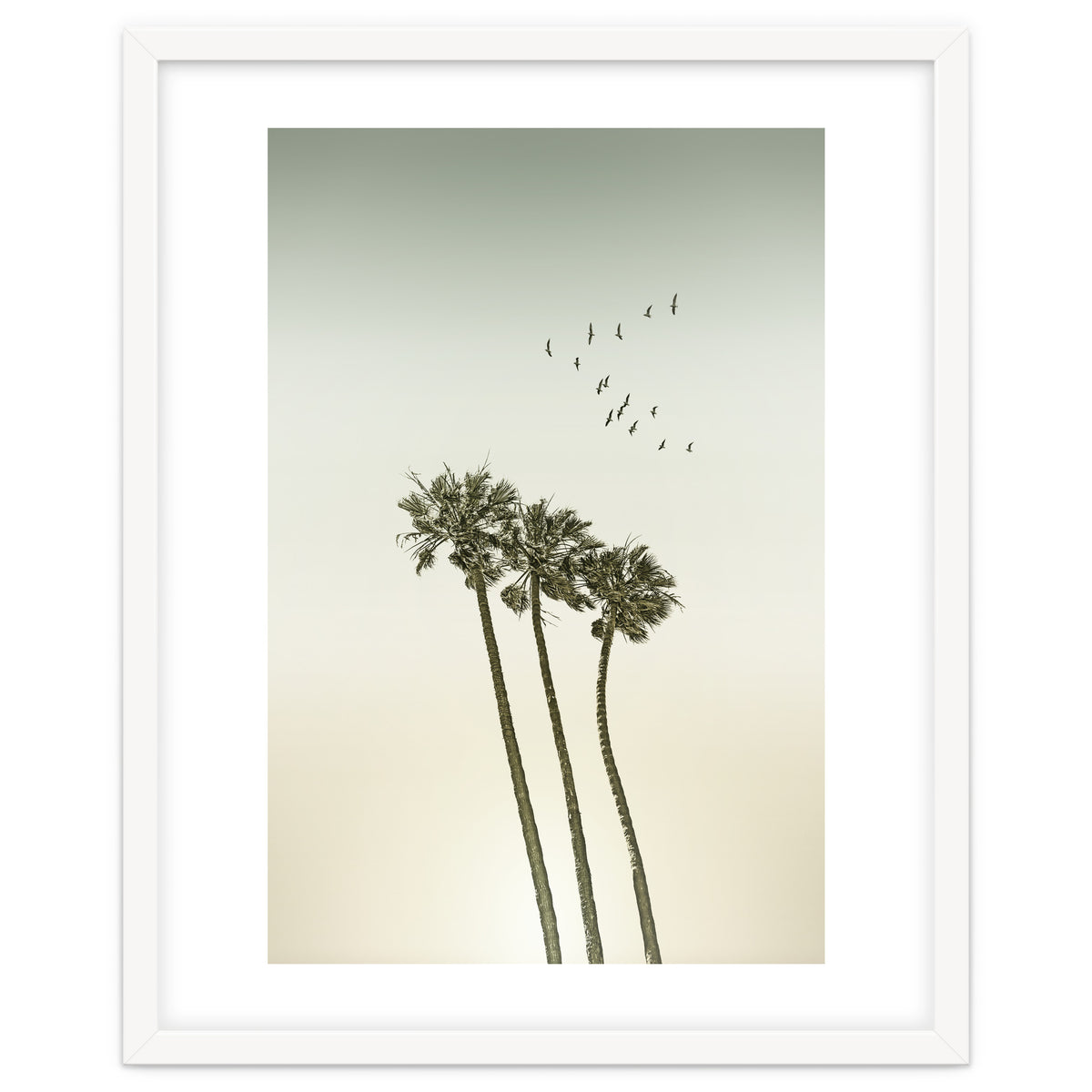 Vintage palm trees at sunset