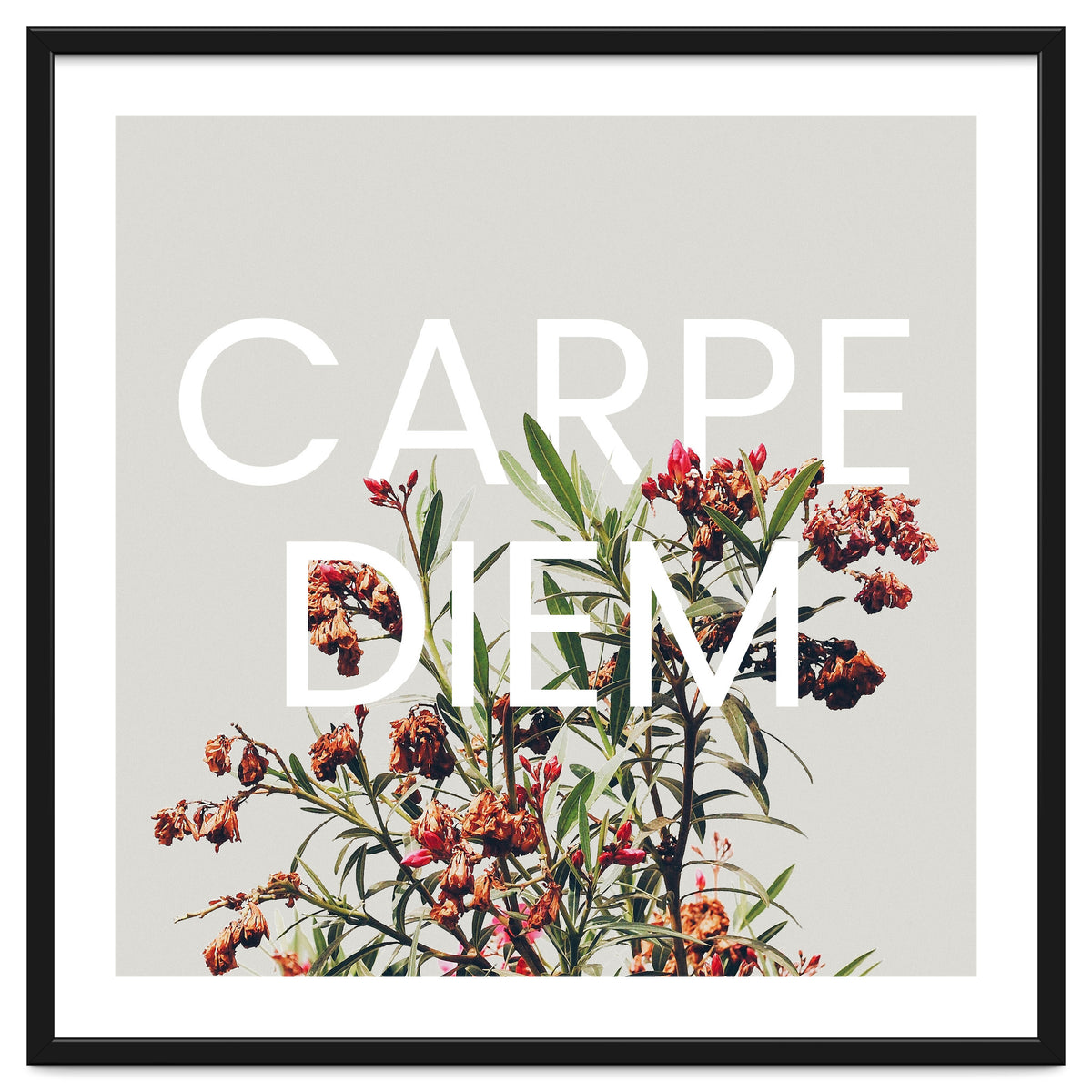 Carpe Diem
