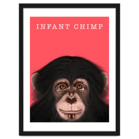 Infant Chimp