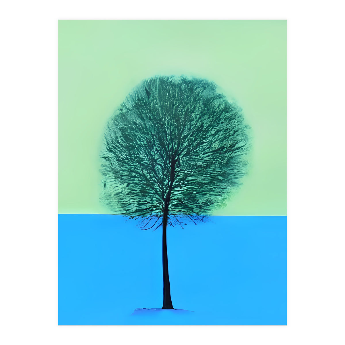 Tree in the snow  (Print Only)