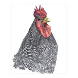 Chicken No.1 (Print Only) thumbnail