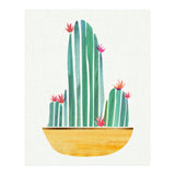 Bowl O' Cactus (Print Only) thumbnail