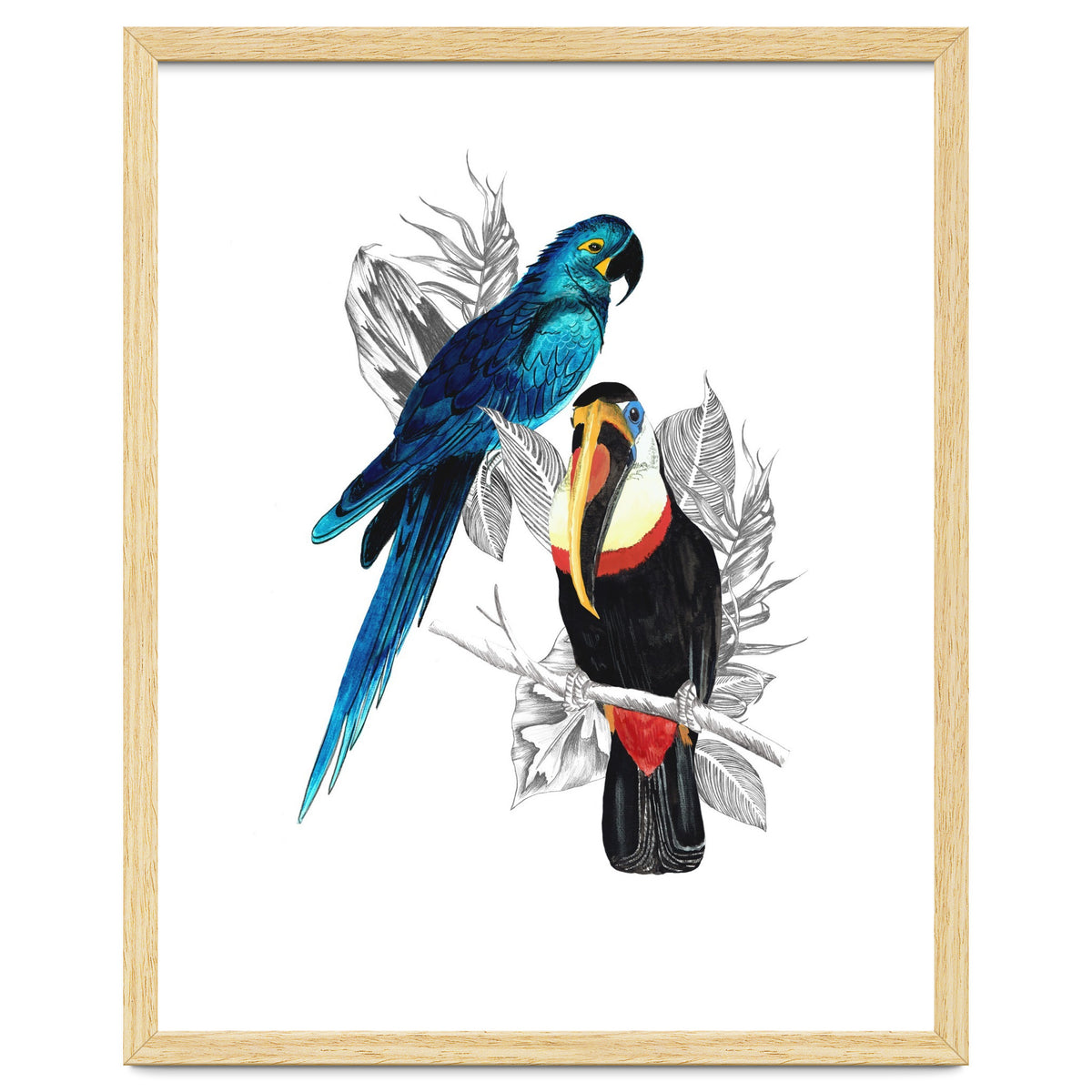 The Toucan and the Parrot