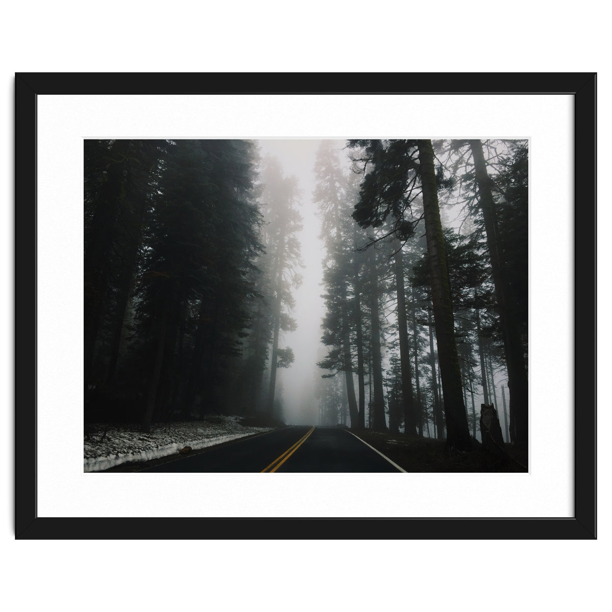 Foggy Yosemite