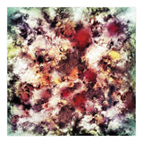 Compression (Print Only) thumbnail